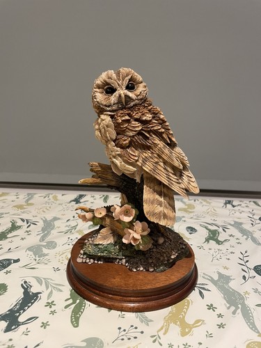 Border fine arts tawny owl - arts,