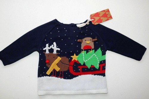 Next christmas reindeer - christmas,