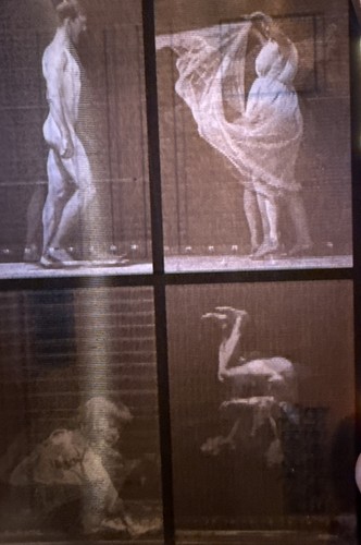 David burder eadweard - burder,