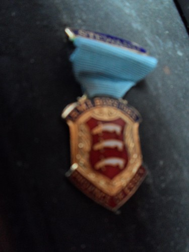 Royal masonic institute for - institute,