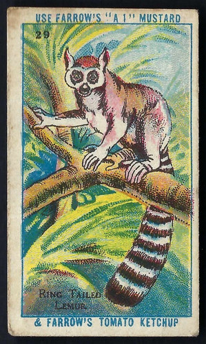 Farrows animals the - farrows,