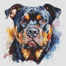 American Bully Puppy Dog