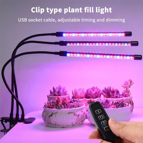 Usb led plant grow - plant, light