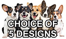 Cardigan welsh corgi self - welsh,