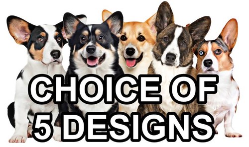 Cardigan welsh corgi self - cardigan,