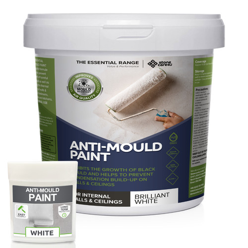 Anti mould paint protects - anti,