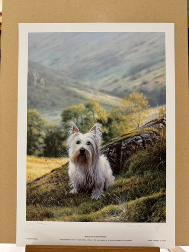 Steven townsend westie - townsend,