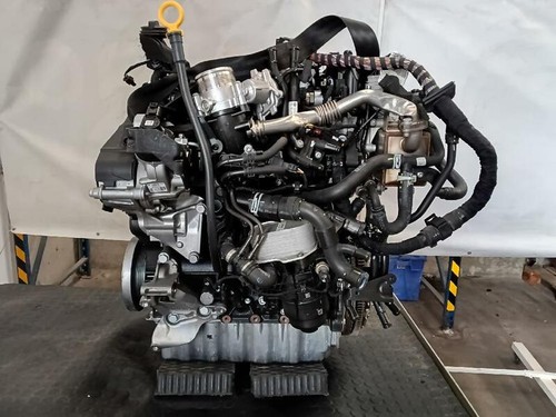 Dna 1796888 full - full, engine