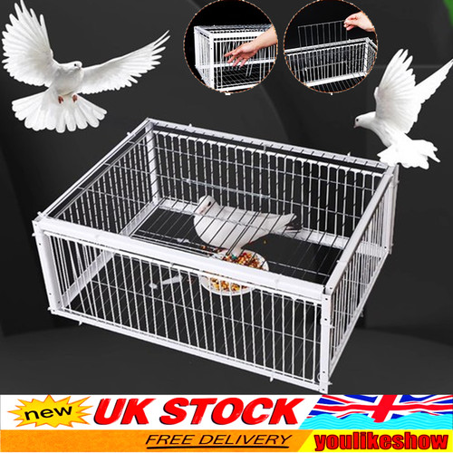 Pigeon trap cage single - trap,