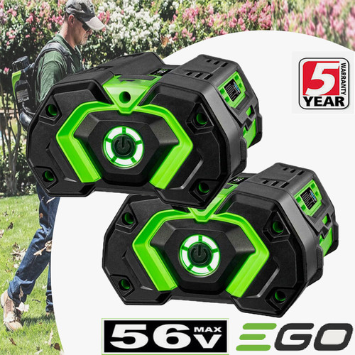 2pack for ego 56v - for,