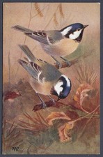 Coal Tit by Roland Green - R.S. Art Press bird postcard