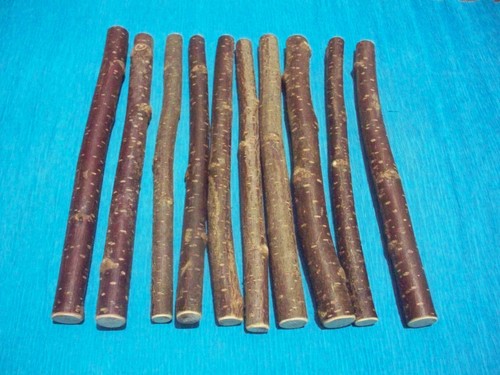 Hazel wood craft - hazel, sticks