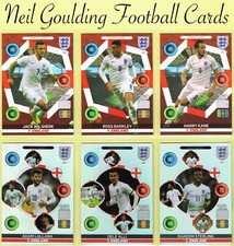 Panini Adrenalyn XL ☆