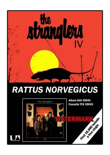 The stranglers poster - the, prints