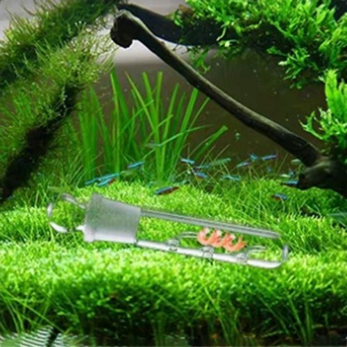 Aquarium planaria trap fish - aquarium,