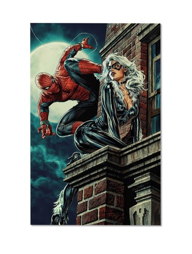 Spider man black - black, cat