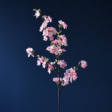 4-pronged Cherry Blossom