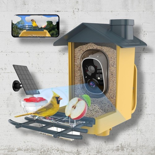 Smart bird cam - bird, with
