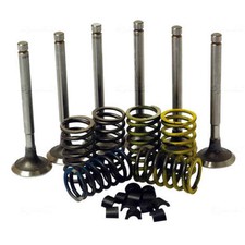 VALVE TRAIN KIT FITS DAVID BROWN 780 880 885 1190 1194 TRACTORS