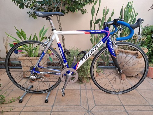 Wilier triestina team - wilier, issue
