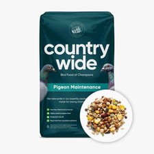 Wild bird feed - wild,