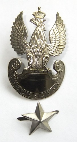 Ww2 polish army - ,