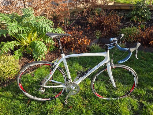 Ribble sportive bianco - ribble,