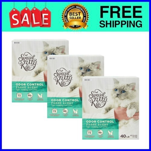 Special kitty scoopable tight - scoopable,