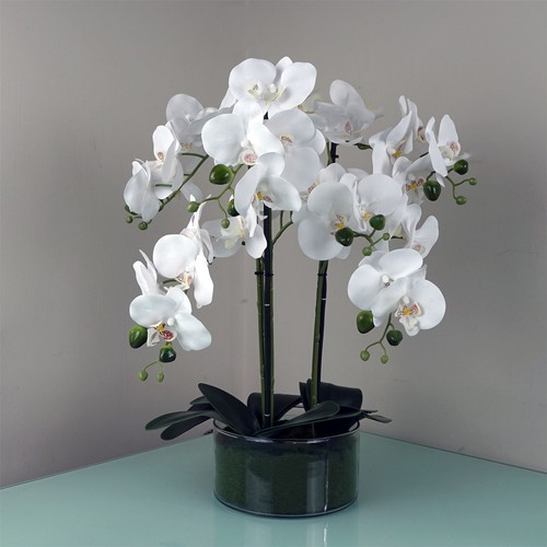 Artificial orchid plant - artificial,