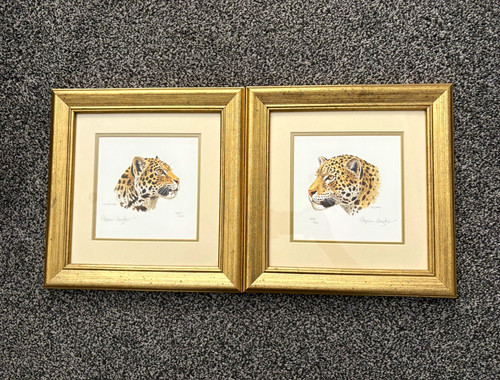 Stephen gayford mother jaguar - stephen,