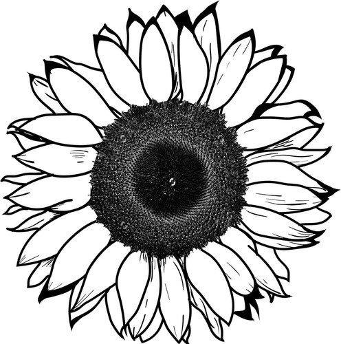 Sunflower temporary tattoo - sunflower,
