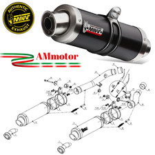 Mivv Kawasaki Z 1000 2009 09