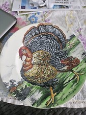 W. R. Midwinter ''Turkey''