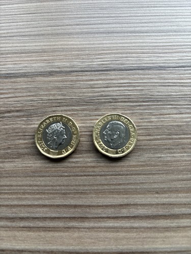 One pound coins - pound,