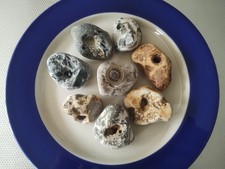 Set natural hag stones - set,