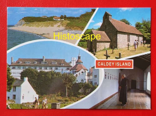 Postcard unused caldey - postcard,