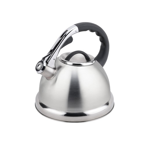 Stainless steel whistling - stainless,