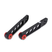 SKUNK2 BLACK SERIES REAR LOWER