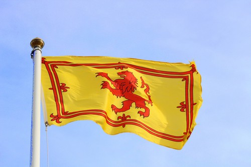 Scotland 3ft 2ft lion - scotland,