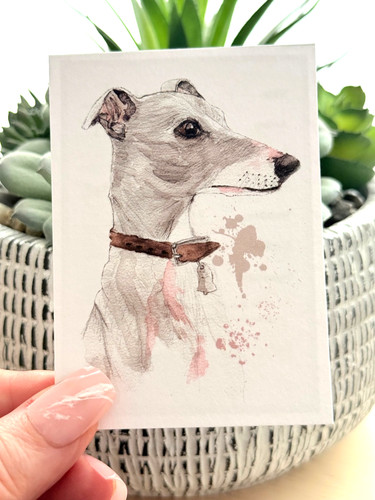 Aceo print focus - aceo,
