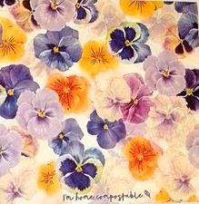3-PLY (Pack of 4) Pansy Floral