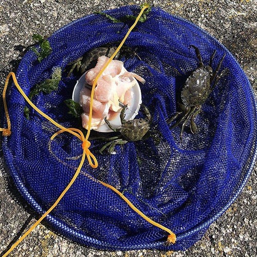 Crab fishing drop net - crab,