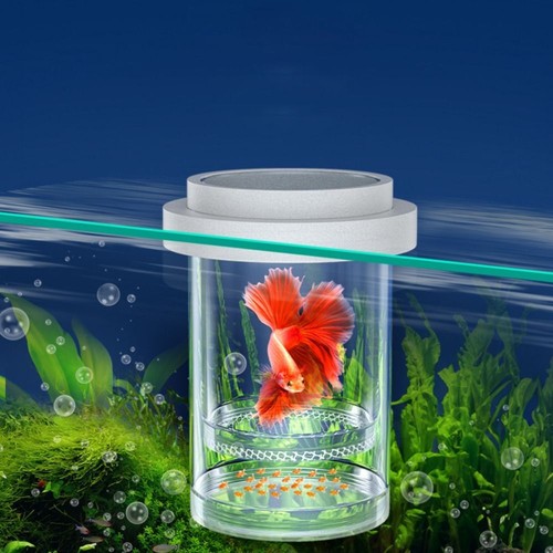 Plastic floating fish - plastic,
