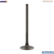 4x EXHAUST VALVE V1932 FOR N43