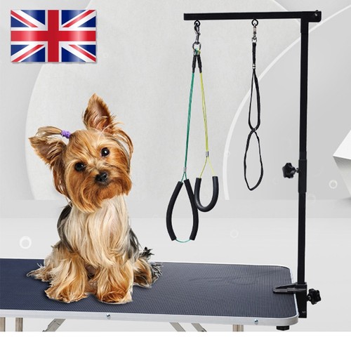 Portable space saving pet - portable,