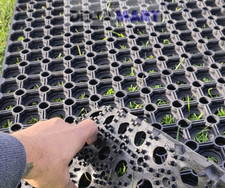 Premium Rubber Grass