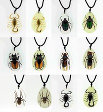 Real Bugs in Large Resin