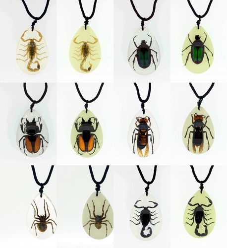 Real bugs large resin - bugs,