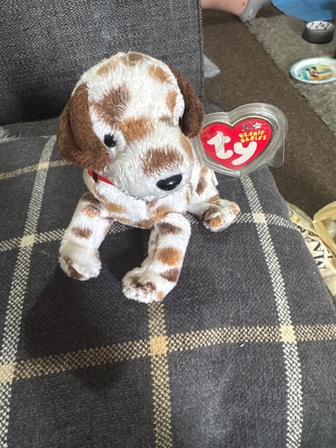 Beanie babies the brown - babies,