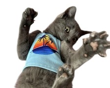 Cute Pet Kitten Puppy Rabbit Small Top Animal Clothing So Beautiful On In VGC